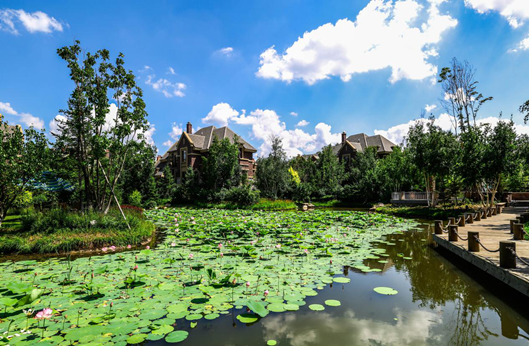 9001cc金沙以诚为本(中国)有限公司官网