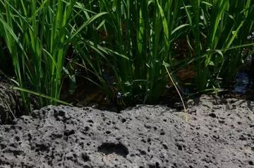 9001cc金沙以诚为本(中国)有限公司官网