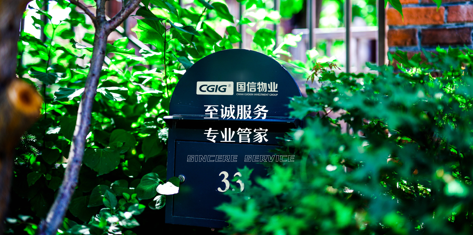 9001cc金沙以诚为本(中国)有限公司官网