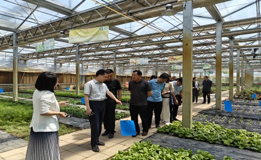 2024年6月27日，，，中国绿色食物生长中心相关向导莅临农业总公司考察调研_副本.jpg